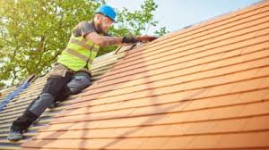 Best Skylights  in Gasport, NY