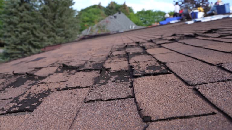 Best Sheet Metal Roofing  in Gasport, NY
