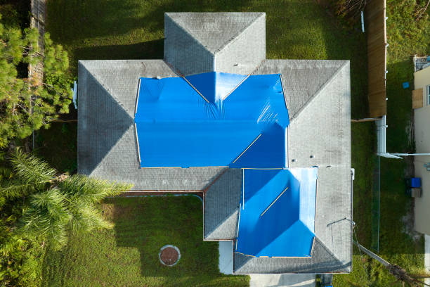 Best Roof Insulation Installation  in Gasport, NY