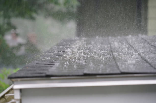 Best Slate Roofing  in Gasport, NY