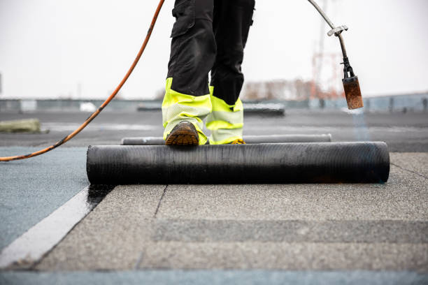 Best Roof Leak Repair  in Gasport, NY
