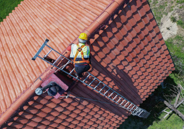 Best Asphalt Shingle Roofing  in Gasport, NY