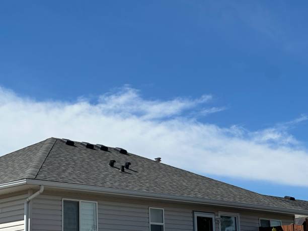 Best Tile Roofing Installation  in Gasport, NY